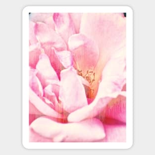 Pink Rose Glitch Sticker